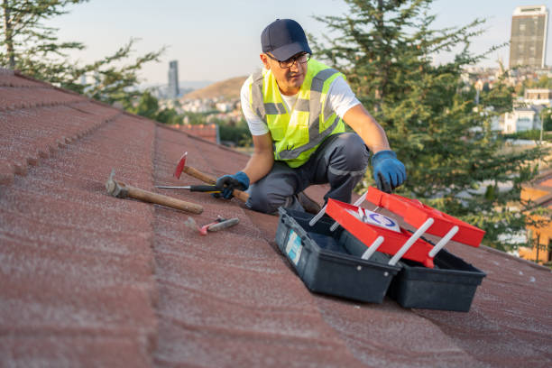 Shed Removal in San Miguel, CA